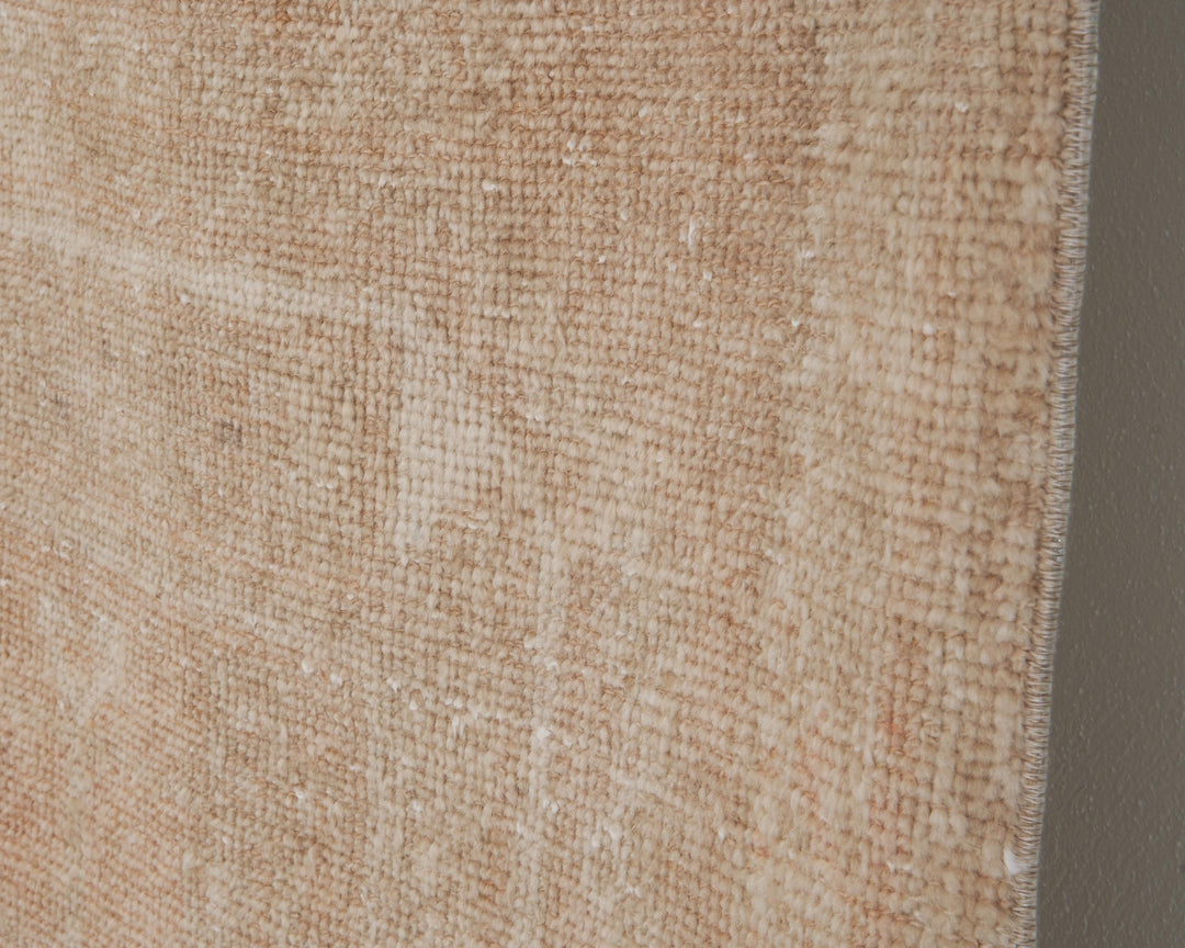 Beige Runner Rug 3' 5" x 10' 11" | No. VR21921