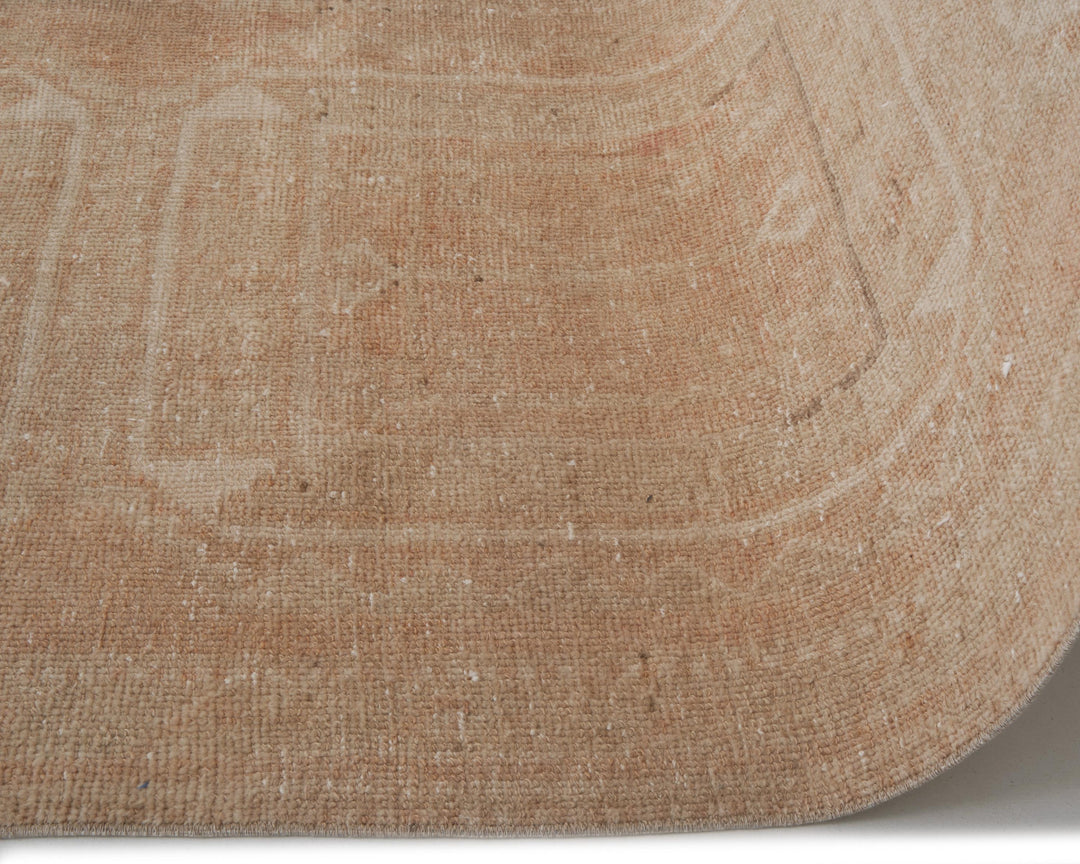Beige Runner Rug 3' 5" x 10' 11" | No. VR21921