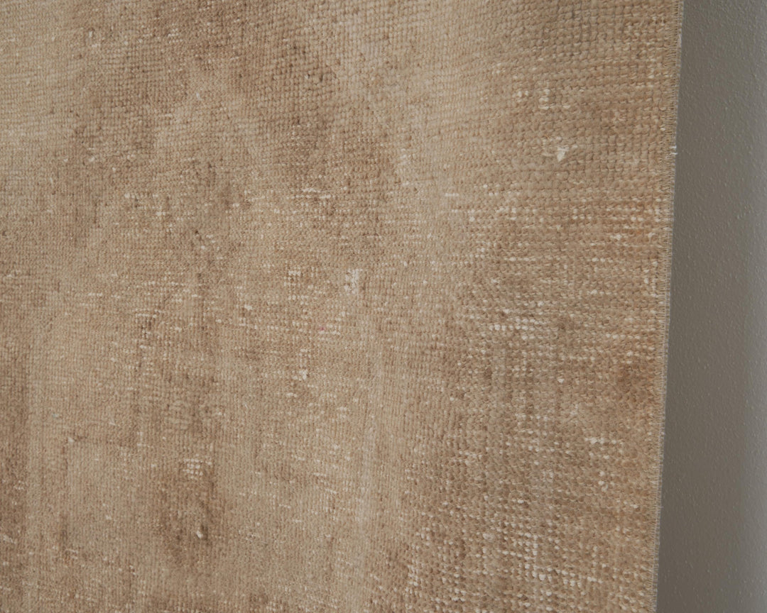 Neutral Runner Rug 3' x 12' 11" | No. VR40999