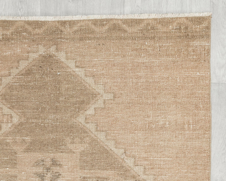 Runner Rug 3' x 12' | No. VR47943