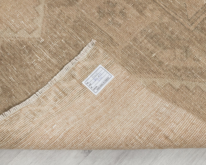 Runner Rug 3' x 12' | No. VR47943