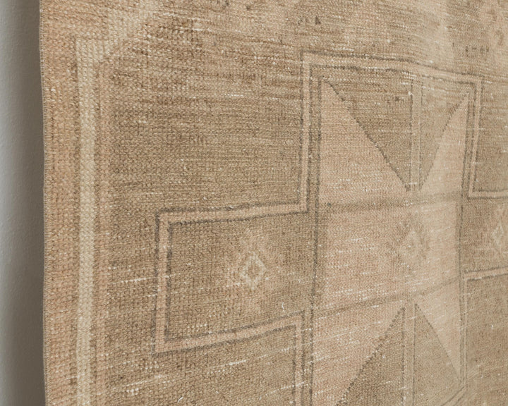 Runner Rug 3' x 12' | No. VR47943