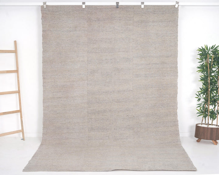 Neutral Kilim Rug 6' 1" x 9' 8" | No. VR12582