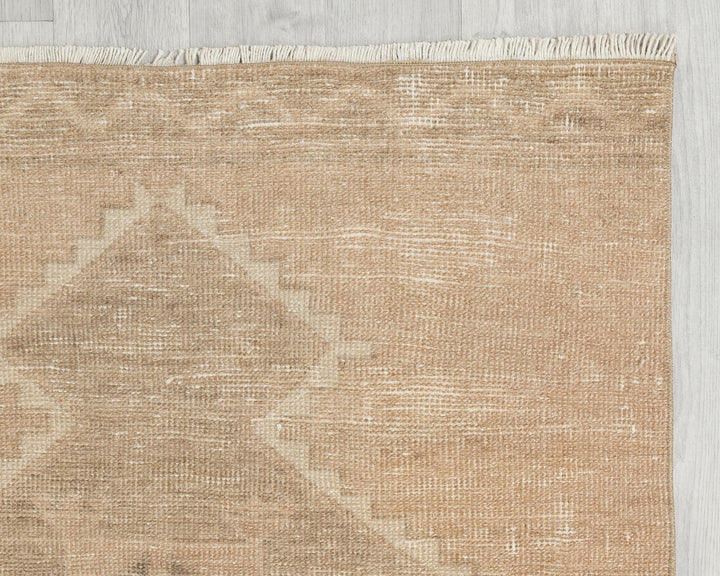 Runner Rug 2' 10" x 11' 1" | No. VR17524