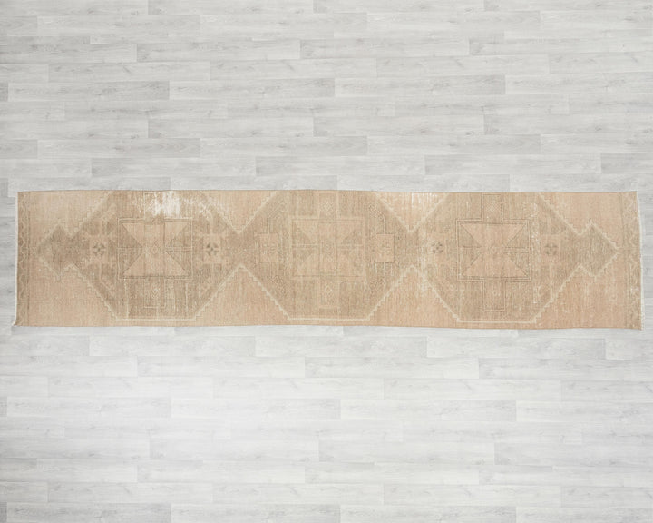 Runner Rug 2' 10" x 11' 1" | No. VR17524