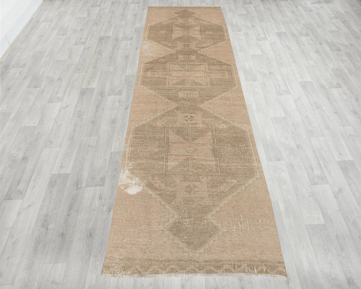 Runner Rug 3' x 12' | No. VR47943