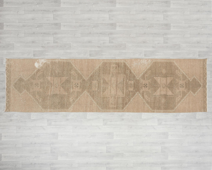 Runner Rug 3' x 12' | No. VR47943