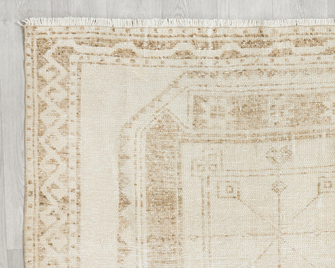 Beige Runner Rug 3' 11" x 10' 8" | No. VR30318