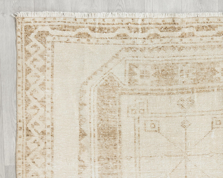 Beige Runner Rug 3' 11" x 10' 8" | No. VR30318