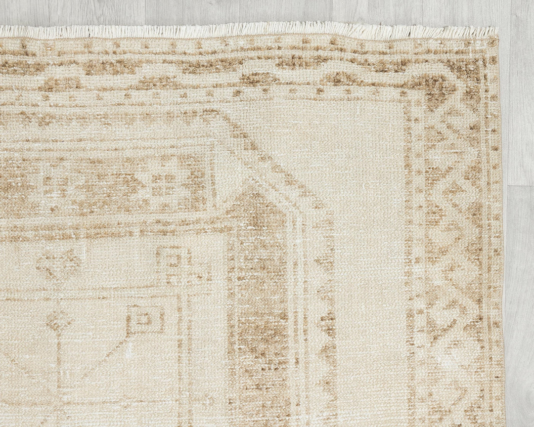Beige Runner Rug 3' 11" x 10' 8" | No. VR30318