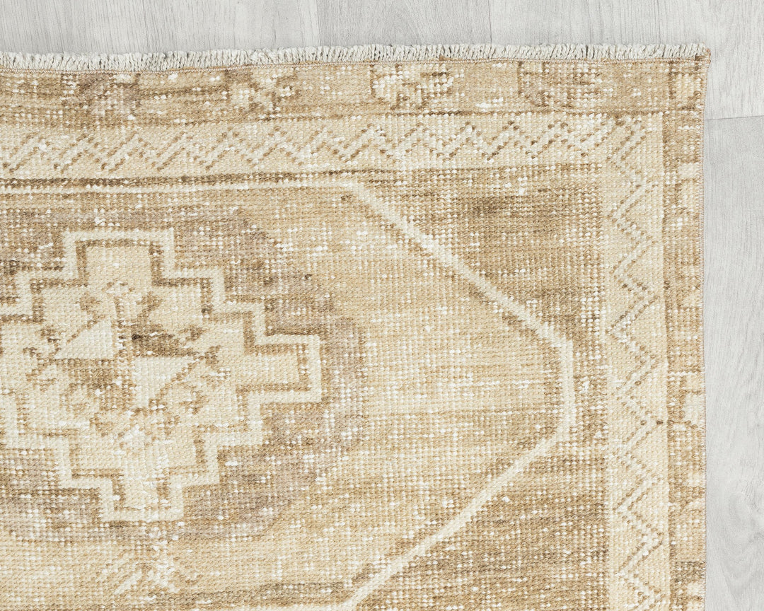 Runner Rug 2' 11" x 9' 4" | No. VR20766