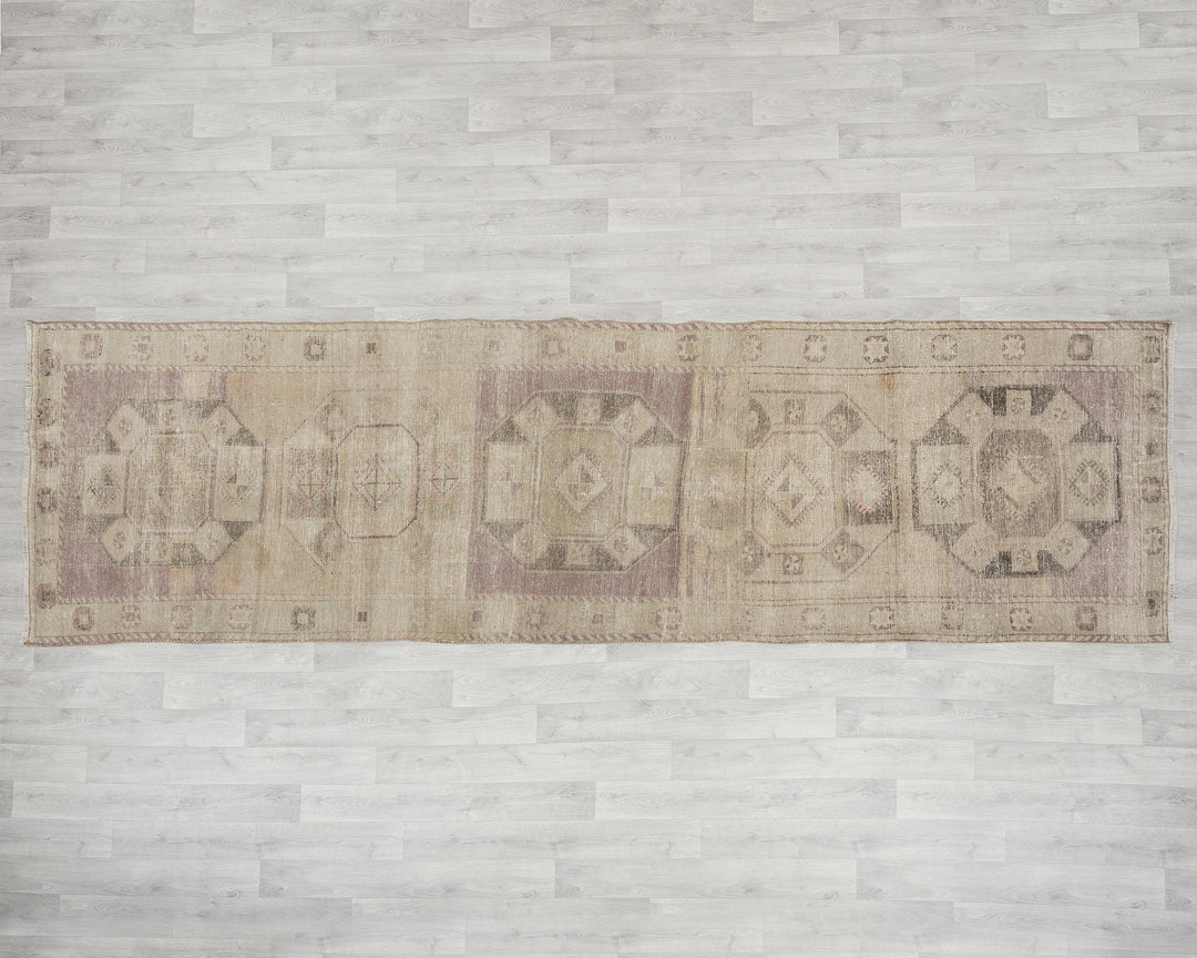 Beige Runner Rug 3' 7" x 12' 8" | No. VR15654