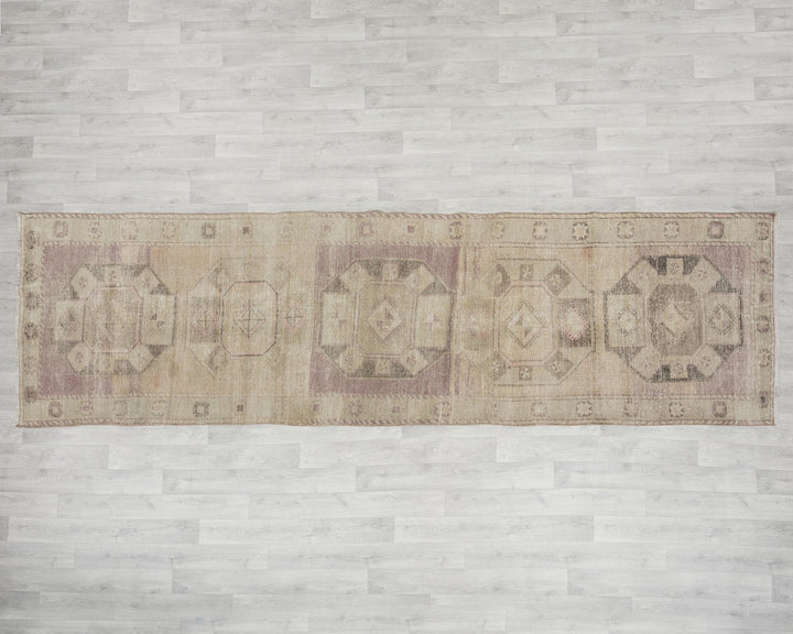 Beige Runner Rug 3' 7" x 12' 8" | No. VR15654