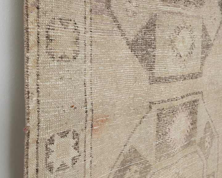 Beige Runner Rug 3' 7" x 12' 8" | No. VR15654