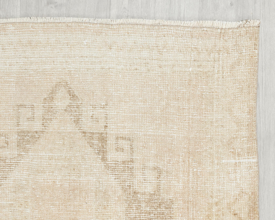 Runner Rug 3' 10" x 10' 1" | No. VR10376
