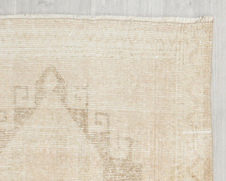 Runner Rug 3' 10" x 10' 1" | No. VR10376