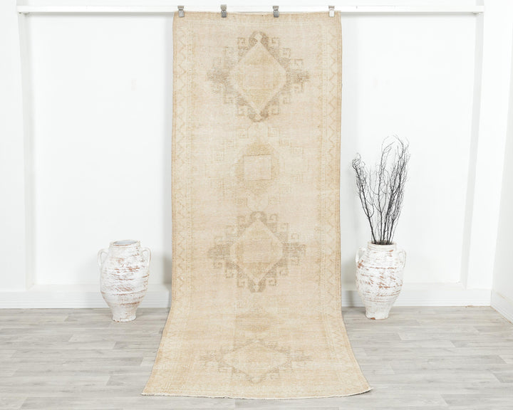 Runner Rug 3' 10" x 10' 1" | No. VR10376