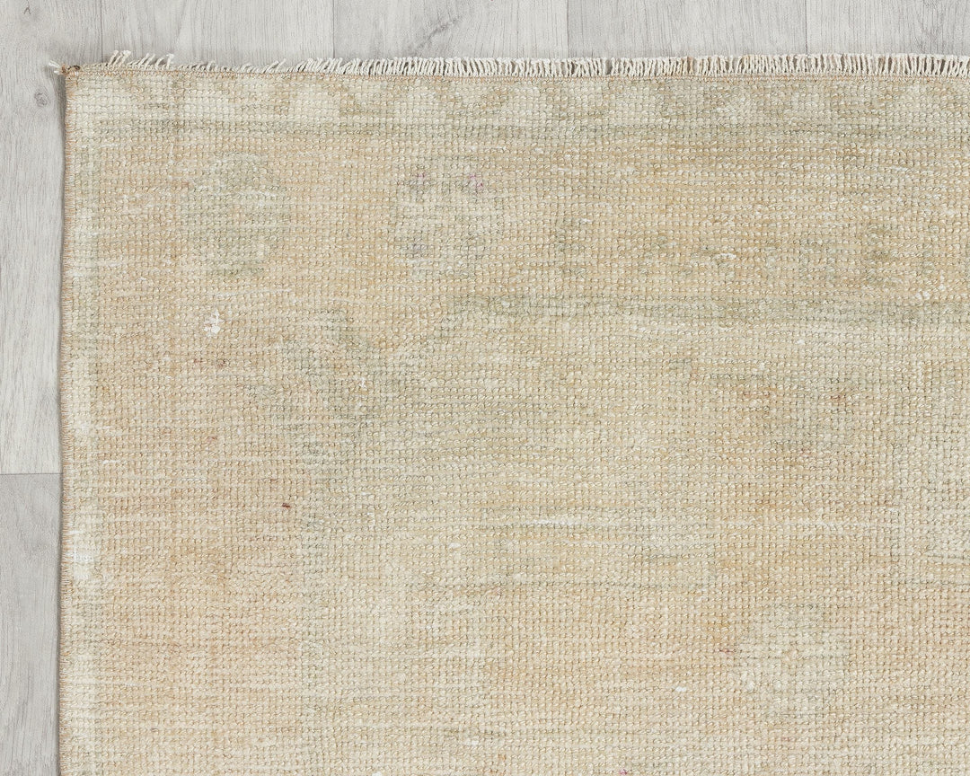 Beige Runner Rug 2' 7" x 8' 6" | No. VR46513