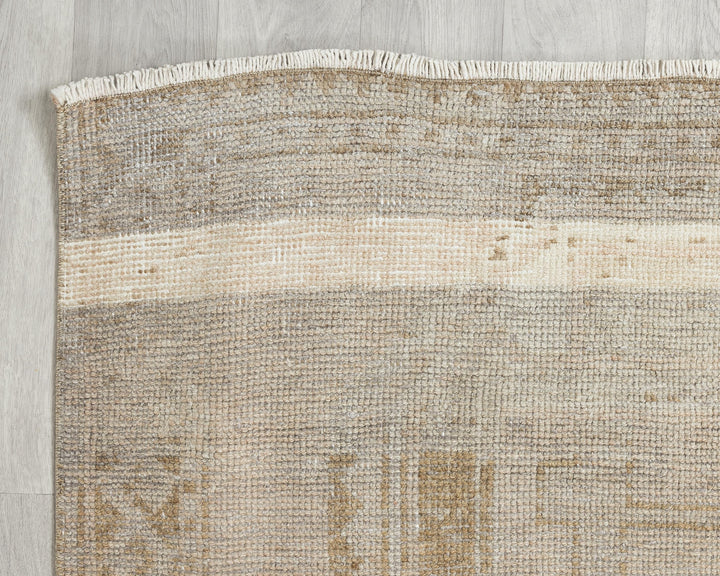 Runner Rug 3' 11" x 10' 10" | No. VR25792
