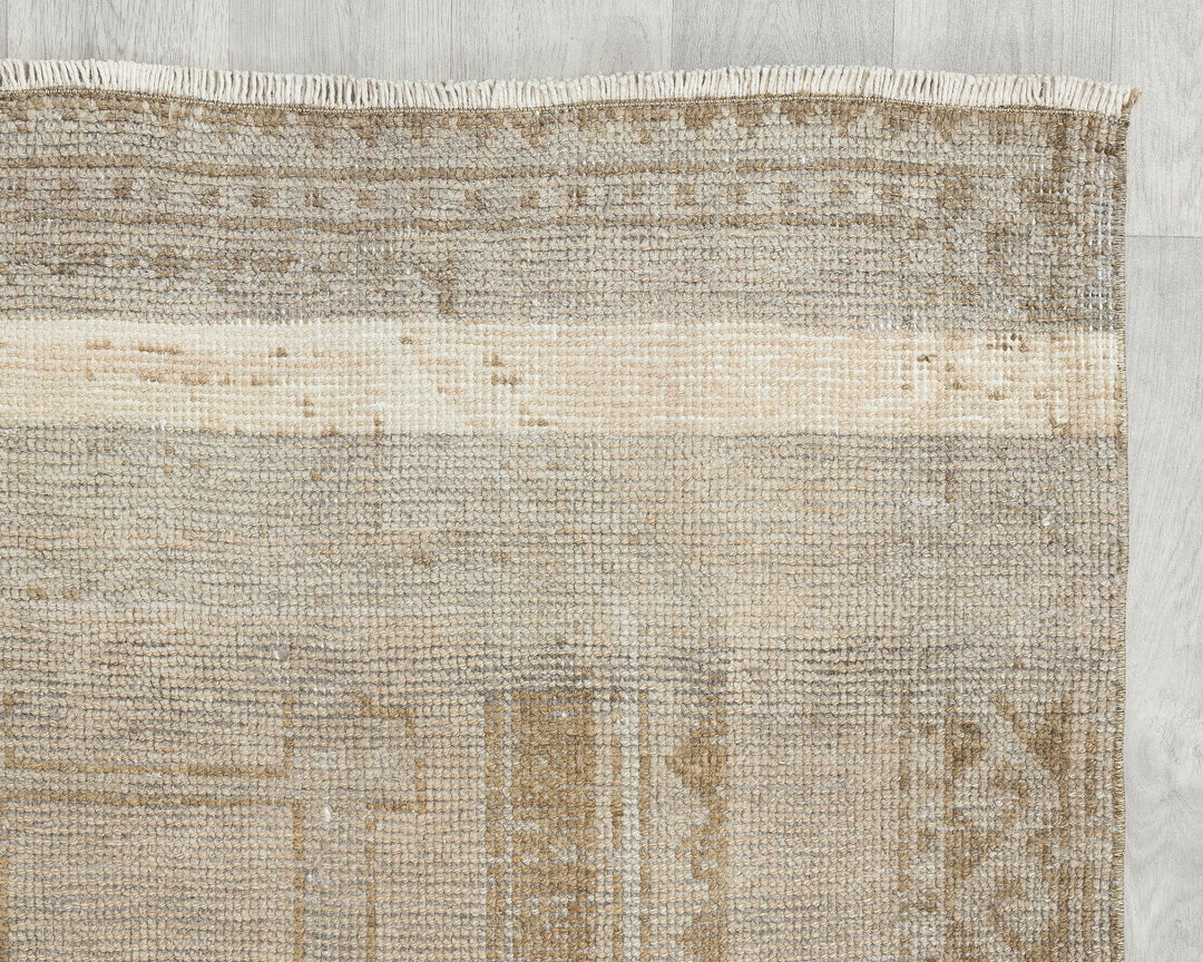 Runner Rug 3' 11" x 10' 10" | No. VR25792