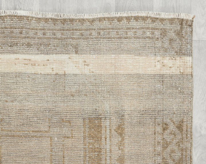Runner Rug 3' 11" x 10' 10" | No. VR25792