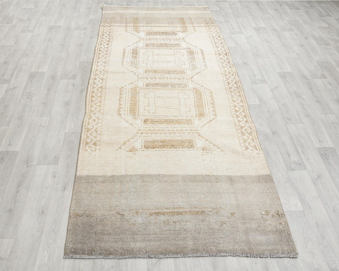 Runner Rug 3' 11" x 10' 10" | No. VR25792