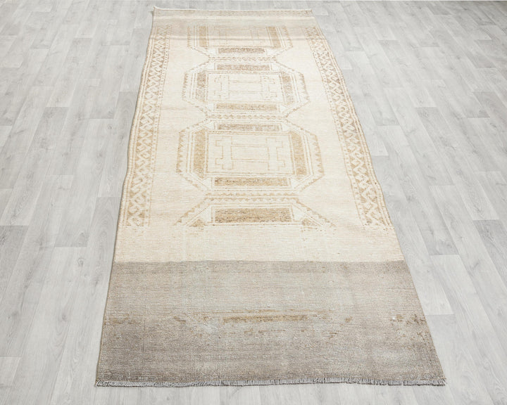 Runner Rug 3' 11" x 10' 10" | No. VR25792