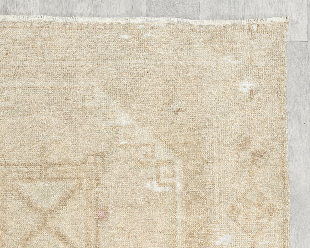 Runner Rug 3' 11" x 11' 1" | No. VR39941