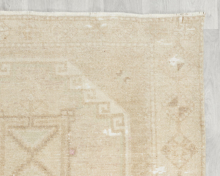 Runner Rug 3' 11" x 11' 1" | No. VR39941