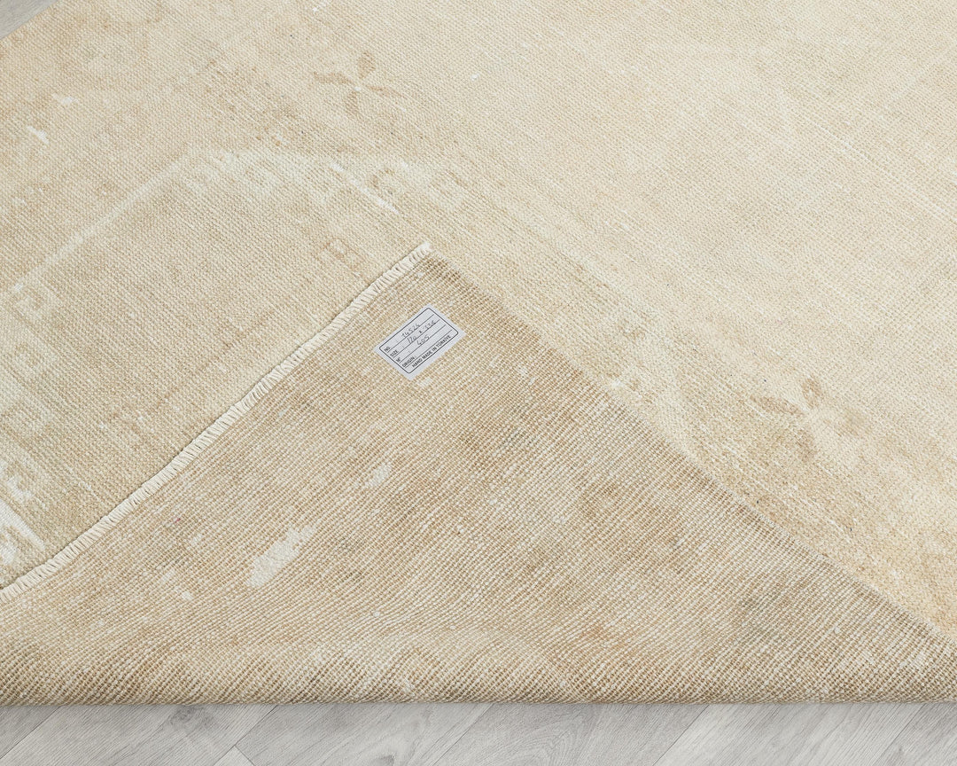 Runner Rug 3' 11" x 11' 1" | No. VR39941