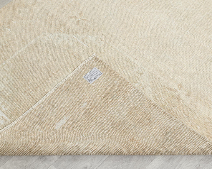 Runner Rug 3' 11" x 11' 1" | No. VR39941