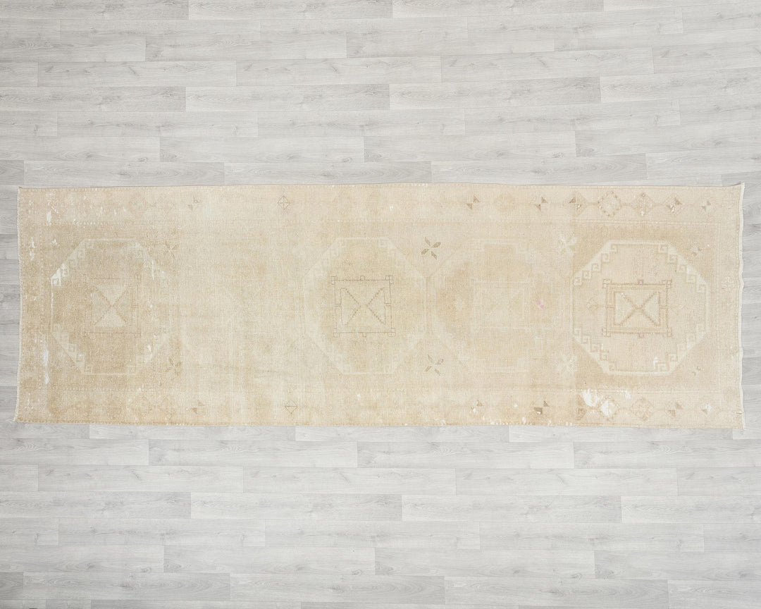 Runner Rug 3' 11" x 11' 1" | No. VR39941