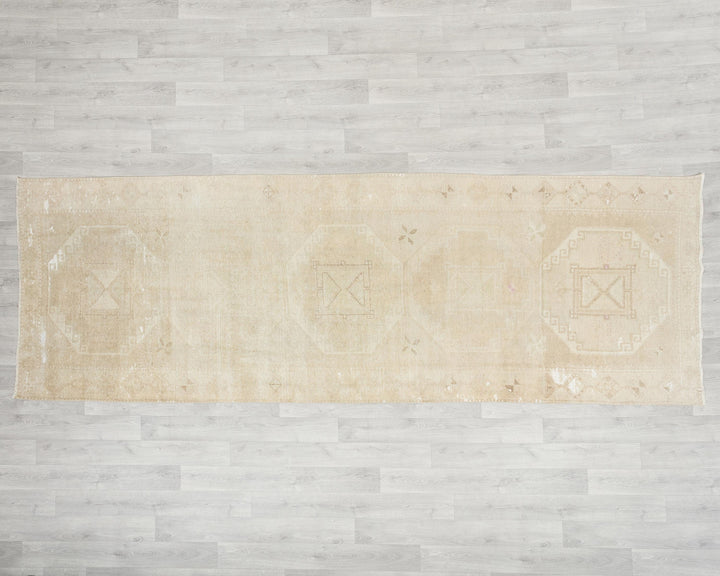 Runner Rug 3' 11" x 11' 1" | No. VR39941