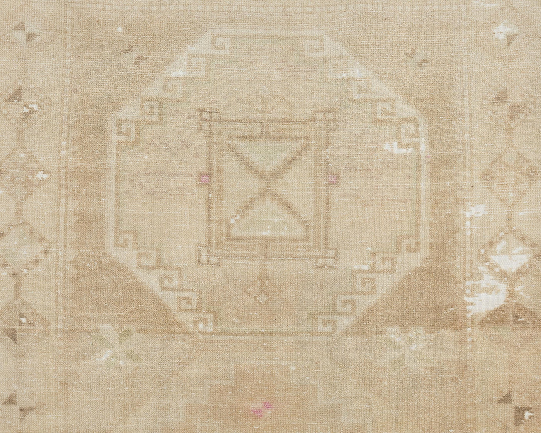 Runner Rug 3' 11" x 11' 1" | No. VR39941
