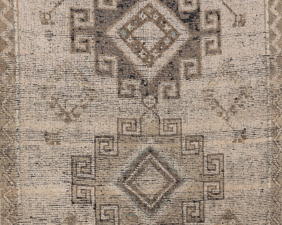 Runner Rug 3' 10" x 10' 6" | No. VR54698