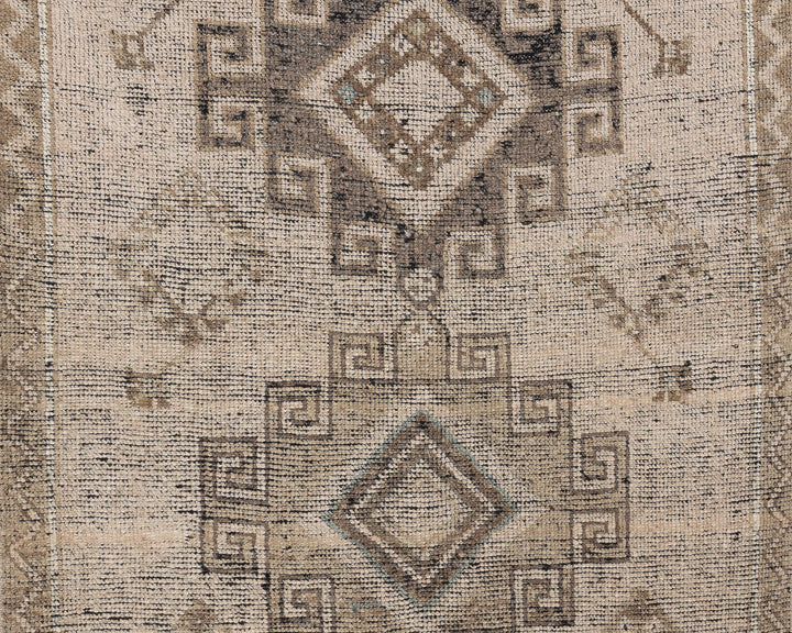 Runner Rug 3' 10" x 10' 6" | No. VR54698