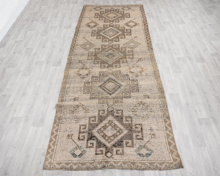 Runner Rug 3' 10" x 10' 6" | No. VR54698