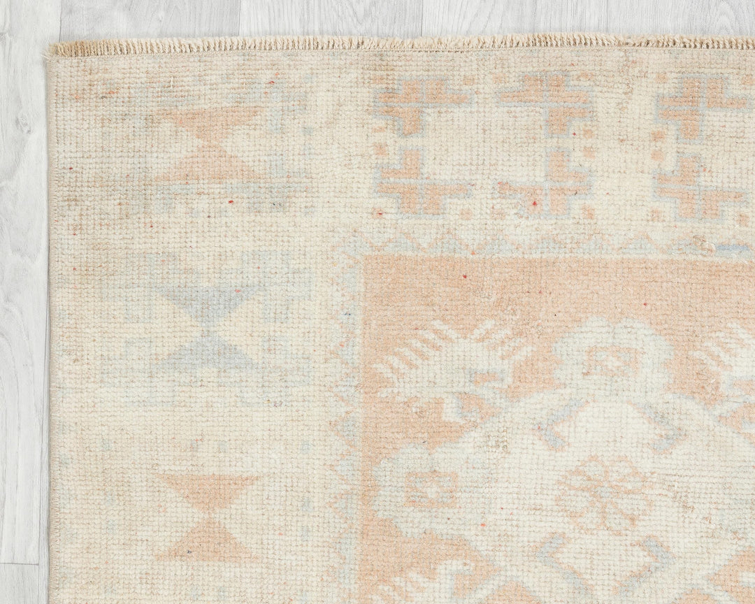 Beige Runner Rug 5' x 6' 1" | No. VR40884