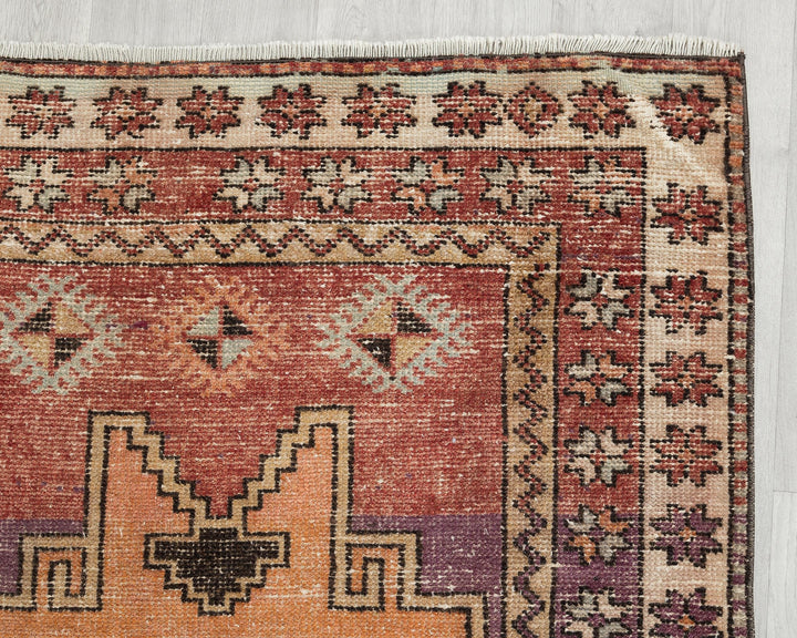 Runner Rug 3' 7" x 11' 7" | No. VR33069
