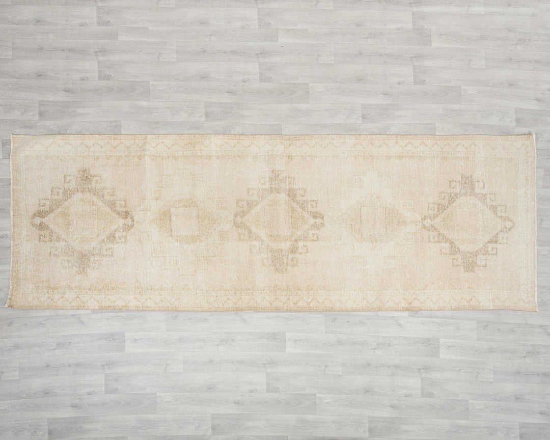 Runner Rug 3' 10" x 10' 1" | No. VR10376