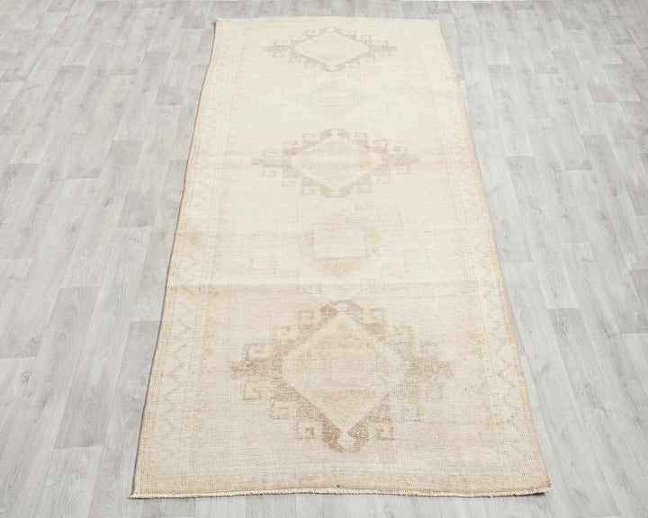 Runner Rug 3' 10" x 10' 1" | No. VR10376