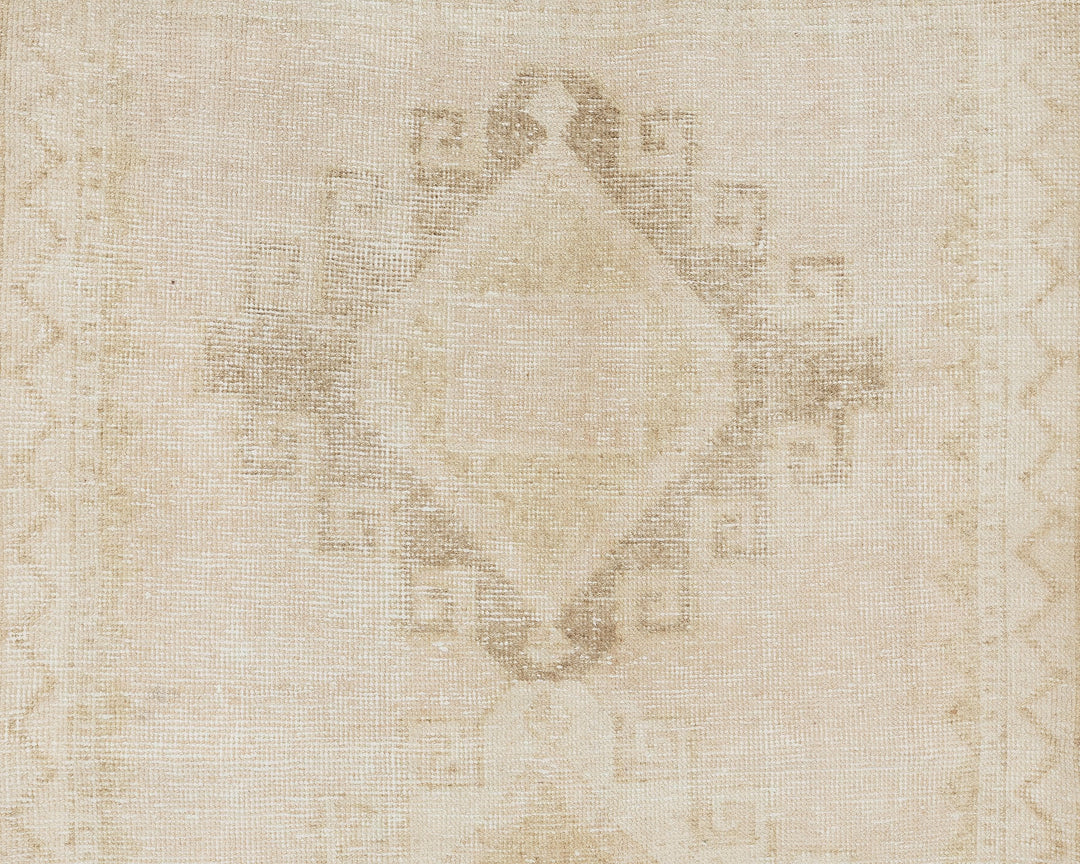 Runner Rug 3' 10" x 10' 1" | No. VR10376