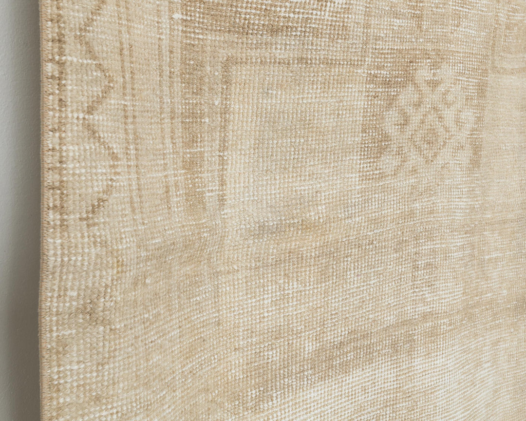 Neutral Runner Rug 3' 5" x 12' 1" | No. VR15973