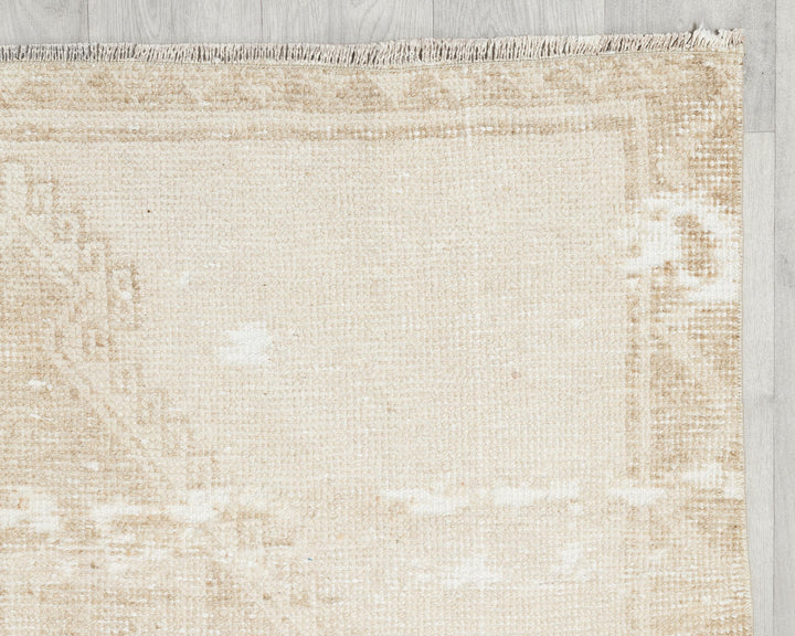 Beige Runner Rug 3' 7" x 12' 1" | No. VR35358