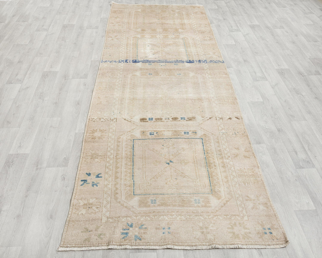 Runner Rug 3' 7" x 10' 10" | No. VR26795