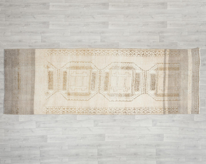 Runner Rug 3' 11" x 10' 10" | No. VR25792