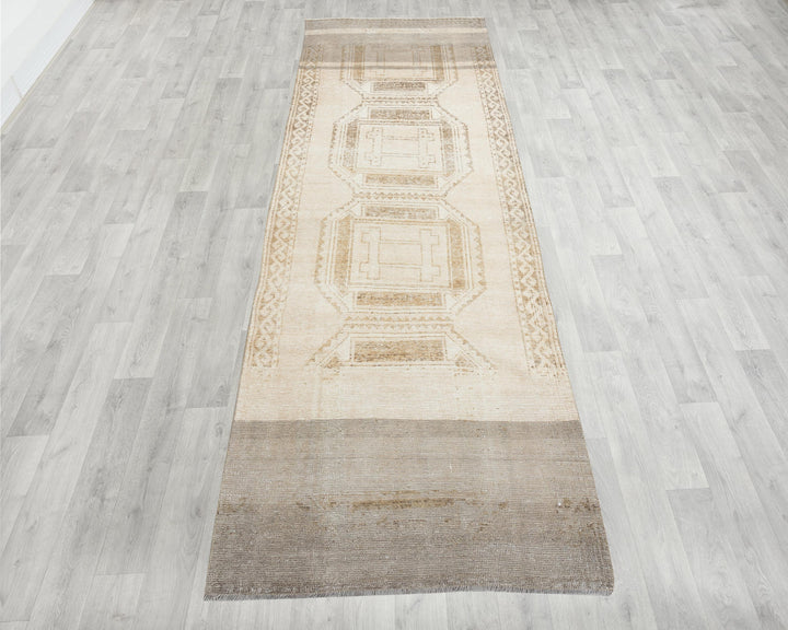 Runner Rug 3' 11" x 10' 10" | No. VR25792