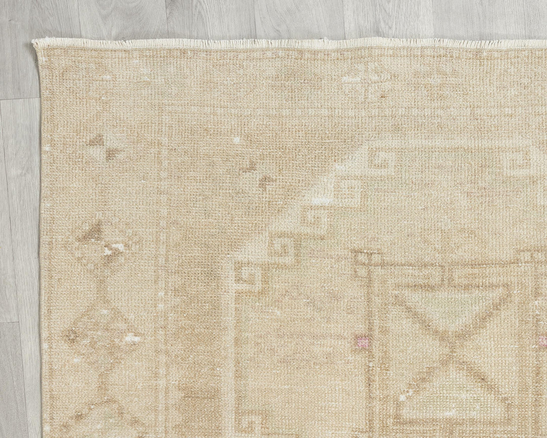Runner Rug 3' 11" x 11' 1" | No. VR39941