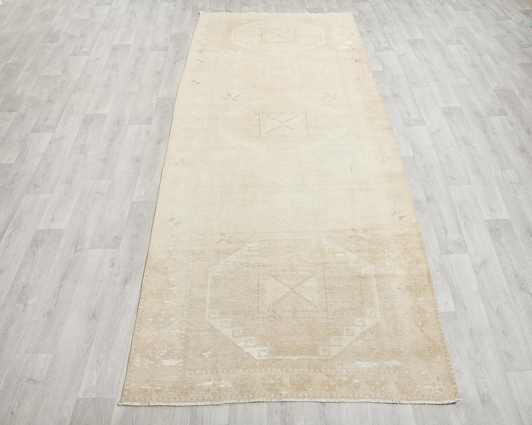 Runner Rug 3' 11" x 11' 1" | No. VR39941