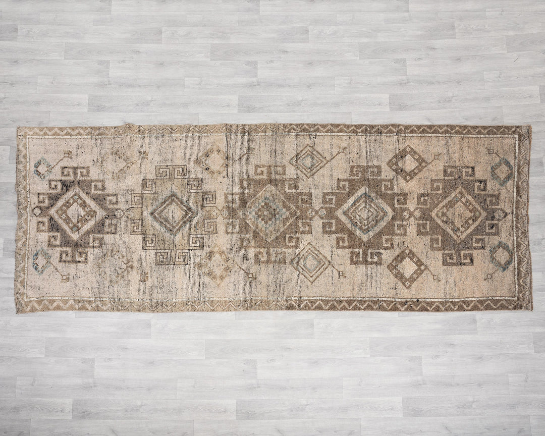 Runner Rug 3' 10" x 10' 6" | No. VR54698